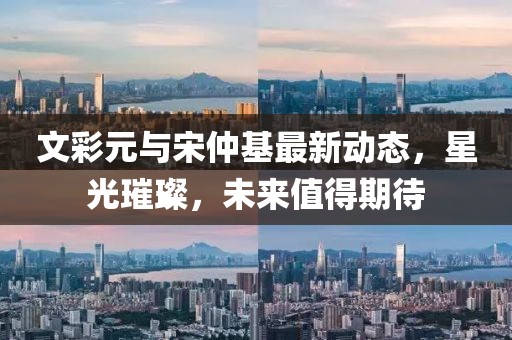 文彩元与宋仲基最新动态，星光璀璨，未来值得期待