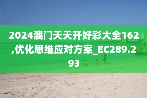 2024澳门天天开好彩大全162,优化思维应对方案_EC289.293