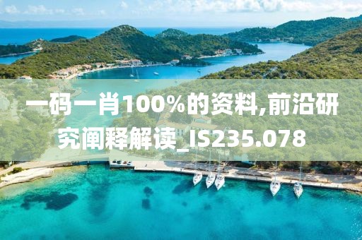 一码一肖100%的资料,前沿研究阐释解读_IS235.078