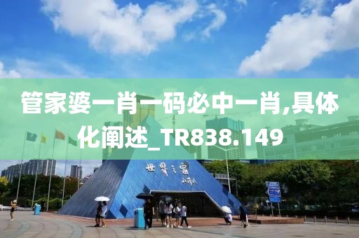 管家婆一肖一码必中一肖,具体化阐述_TR838.149