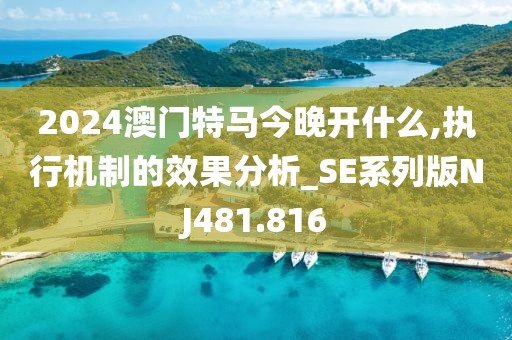 2024澳门特马今晚开什么,执行机制的效果分析_SE系列版NJ481.816