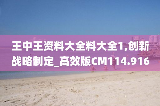 王中王资料大全料大全1,创新战略制定_高效版CM114.916