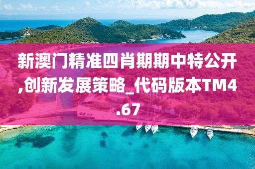 新澳门精准四肖期期中特公开,创新发展策略_代码版本TM4.67