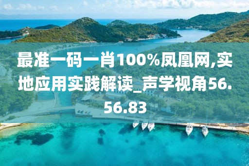 最准一码一肖100%凤凰网,实地应用实践解读_声学视角56.56.83