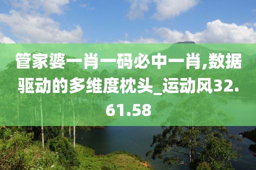 管家婆一肖一码必中一肖,数据驱动的多维度枕头_运动风32.61.58