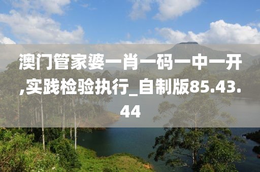 澳门管家婆一肖一码一中一开,实践检验执行_自制版85.43.44