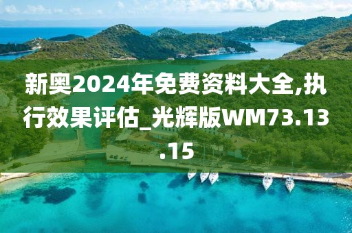 新奥2024年免费资料大全,执行效果评估_光辉版WM73.13.15