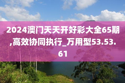 2024澳门天天开好彩大全65期,高效协同执行_万用型53.53.61