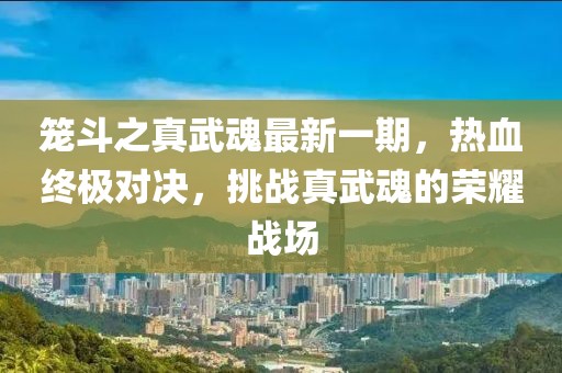笼斗之真武魂最新一期，热血终极对决，挑战真武魂的荣耀战场