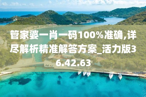 管家婆一肖一码100%准确,详尽解析精准解答方案_活力版36.42.63