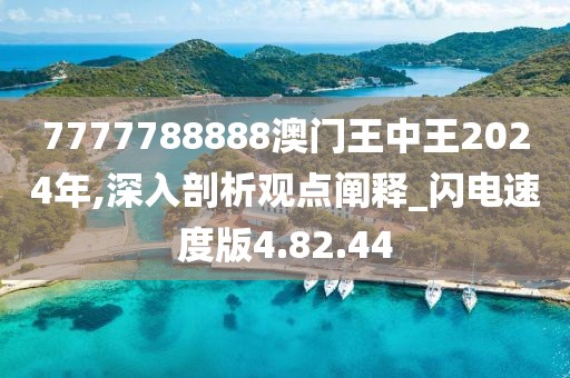7777788888澳门王中王2024年,深入剖析观点阐释_闪电速度版4.82.44