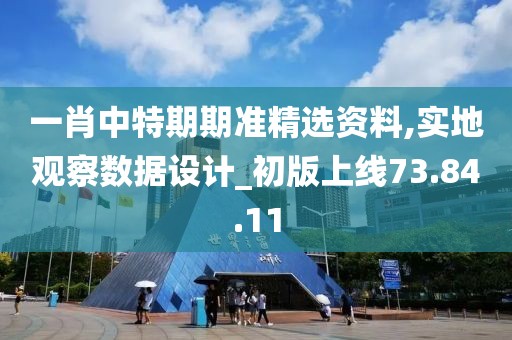 一肖中特期期准精选资料,实地观察数据设计_初版上线73.84.11