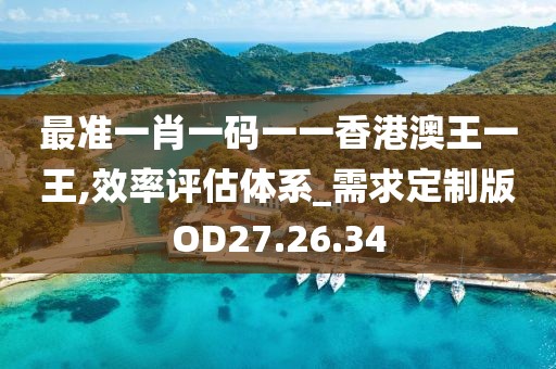最准一肖一码一一香港澳王一王,效率评估体系_需求定制版OD27.26.34