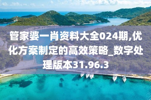 管家婆一肖资料大全024期,优化方案制定的高效策略_数字处理版本31.96.3