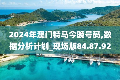2024年澳门特马今晚号码,数据分析计划_现场版84.87.92