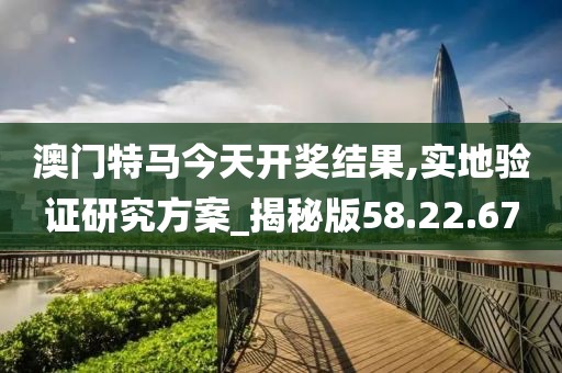 澳门特马今天开奖结果,实地验证研究方案_揭秘版58.22.67
