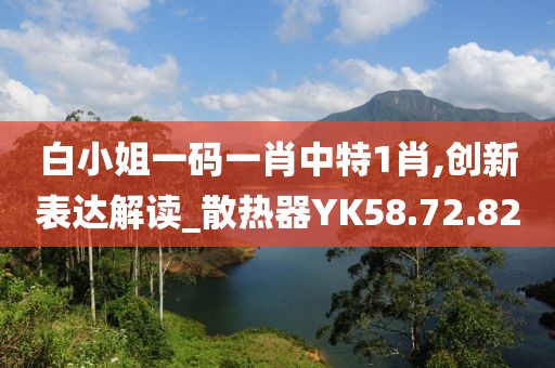 白小姐一码一肖中特1肖,创新表达解读_散热器YK58.72.82
