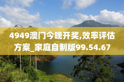 4949澳门今晚开奖,效率评估方案_家庭自制版99.54.67