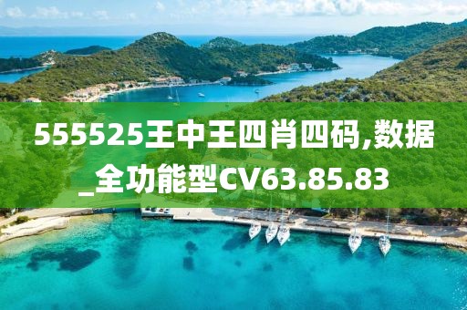 555525王中王四肖四码,数据_全功能型CV63.85.83