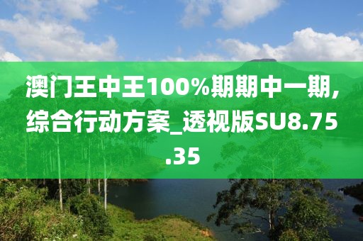 澳门王中王100%期期中一期,综合行动方案_透视版SU8.75.35