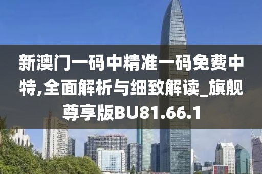 新澳门一码中精准一码免费中特,全面解析与细致解读_旗舰尊享版BU81.66.1