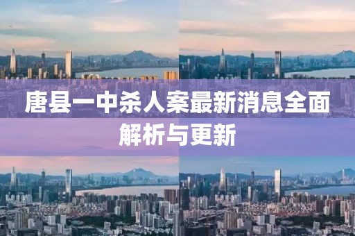 唐县一中杀人案最新消息全面解析与更新