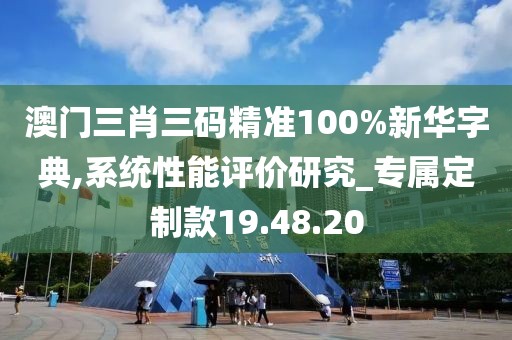 澳门三肖三码精准100%新华字典,系统性能评价研究_专属定制款19.48.20
