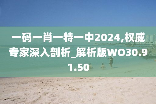 一码一肖一特一中2024,权威专家深入剖析_解析版WO30.91.50