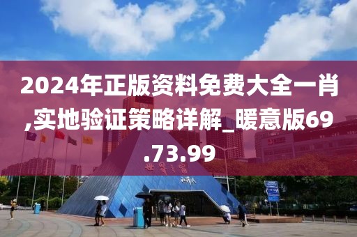 2024年正版资料免费大全一肖,实地验证策略详解_暖意版69.73.99