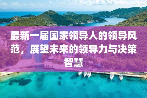 最新一届国家领导人的领导风范，展望未来的领导力与决策智慧