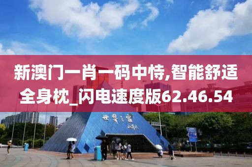 新澳门一肖一码中恃,智能舒适全身枕_闪电速度版62.46.54