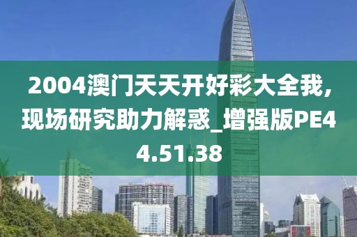 2004澳门天天开好彩大全我,现场研究助力解惑_增强版PE44.51.38