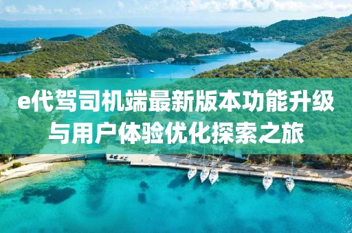 e代驾司机端最新版本功能升级与用户体验优化探索之旅