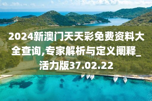 2024新澳门天天彩免费资料大全查询,专家解析与定义阐释_活力版37.02.22