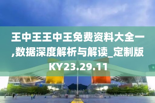 王中王王中王免费资料大全一,数据深度解析与解读_定制版KY23.29.11