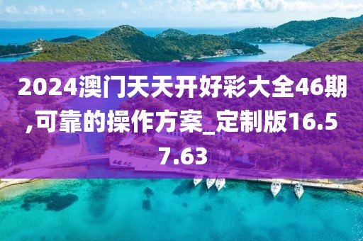 2024澳门天天开好彩大全46期,可靠的操作方案_定制版16.57.63
