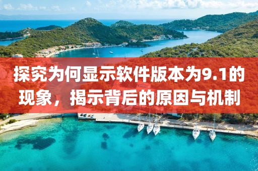 探究为何显示软件版本为9.1的现象，揭示背后的原因与机制