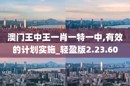澳门王中王一肖一特一中,有效的计划实施_轻盈版2.23.60