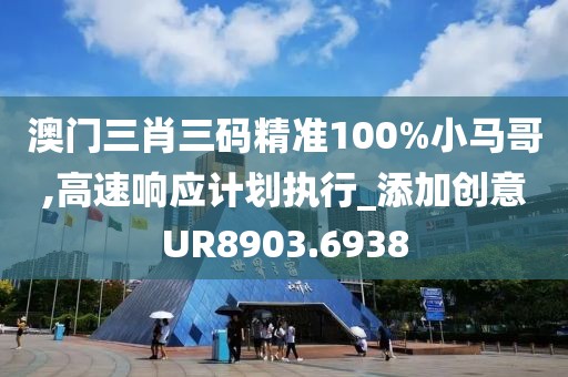 澳门三肖三码精准100%小马哥,高速响应计划执行_添加创意UR8903.6938