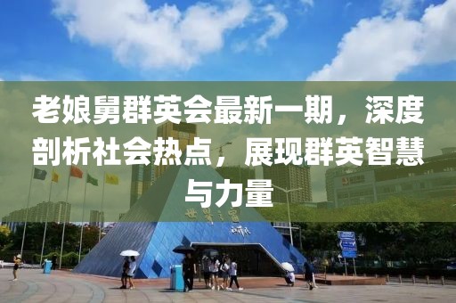老娘舅群英会最新一期，深度剖析社会热点，展现群英智慧与力量