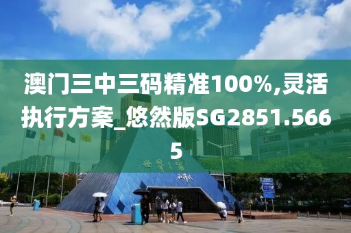 澳门三中三码精准100%,灵活执行方案_悠然版SG2851.5665