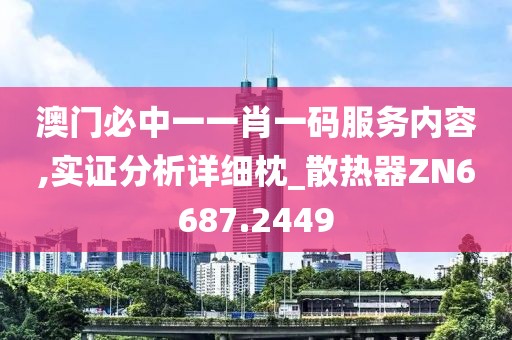 澳门必中一一肖一码服务内容,实证分析详细枕_散热器ZN6687.2449