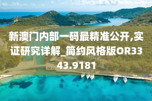 新澳门内部一码最精准公开,实证研究详解_简约风格版OR3343.9181