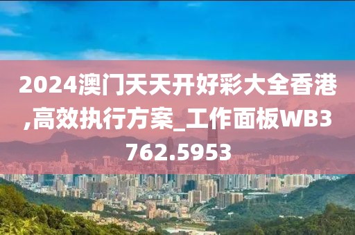 2024澳门天天开好彩大全香港,高效执行方案_工作面板WB3762.5953