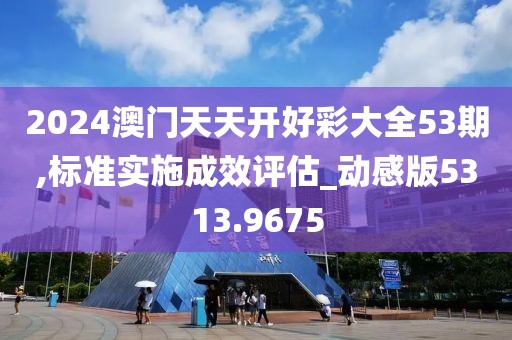 2024澳门天天开好彩大全53期,标准实施成效评估_动感版5313.9675