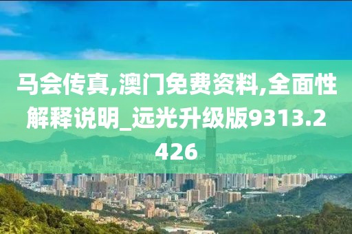 马会传真,澳门免费资料,全面性解释说明_远光升级版9313.2426