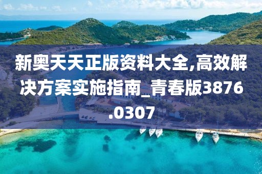 新奥天天正版资料大全,高效解决方案实施指南_青春版3876.0307