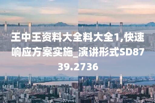 王中王资料大全料大全1,快速响应方案实施_演讲形式SD8739.2736