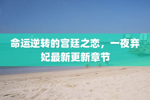 命运逆转的宫廷之恋，一夜弃妃最新更新章节