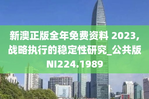 新澳正版全年免费资料 2023,战略执行的稳定性研究_公共版NI224.1989